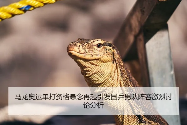 马龙奥运单打资格悬念再起引发国乒男队阵容激烈讨论分析