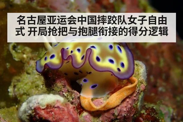 名古屋亚运会中国摔跤队女子自由式 开局抢把与抱腿衔接的得分逻辑